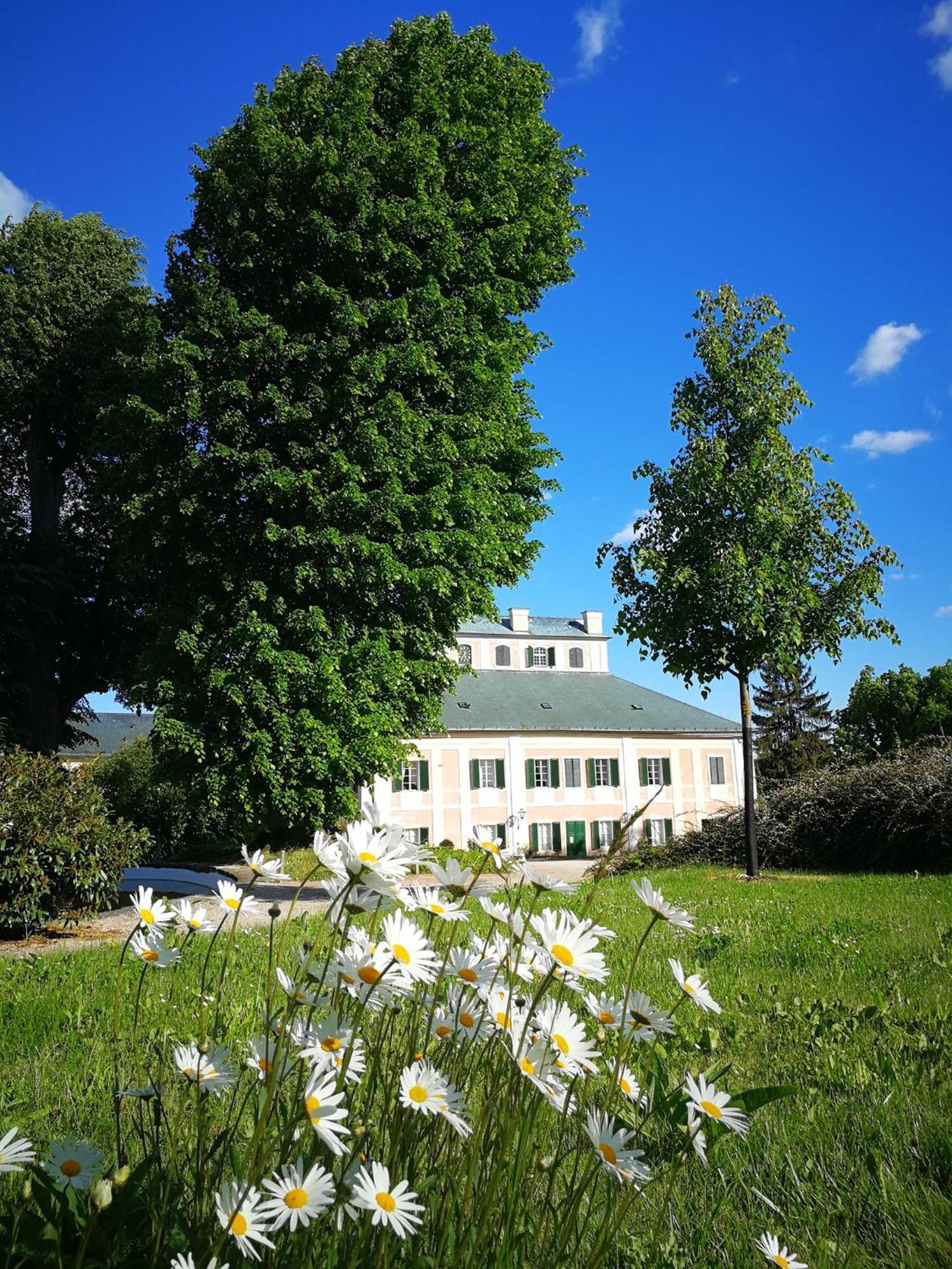 Hotel Penzion Ve Srubu Horni Radechova Exterior foto